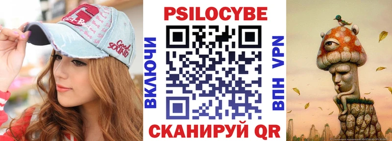 blacksprut сайт  Каменногорск  Галлюциногенные грибы Psilocybine cubensis 