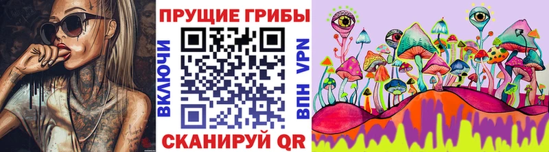 Псилоцибиновые грибы Magic Shrooms Каменногорск